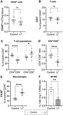 Lithium-induced apoptotic cell death is not accompanied by a noticeable inflammatory response in the kidney